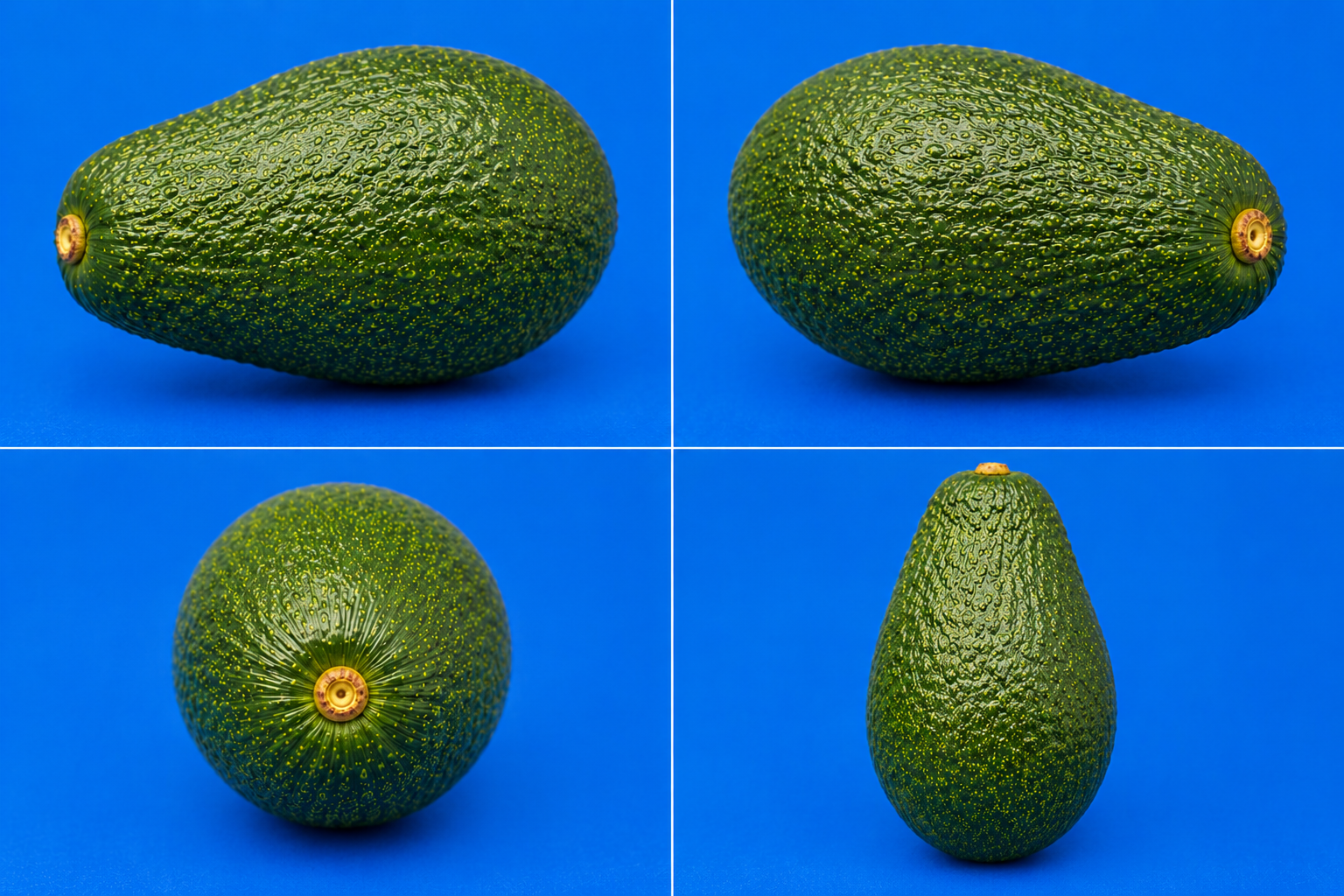 Fresh Avocado Whole